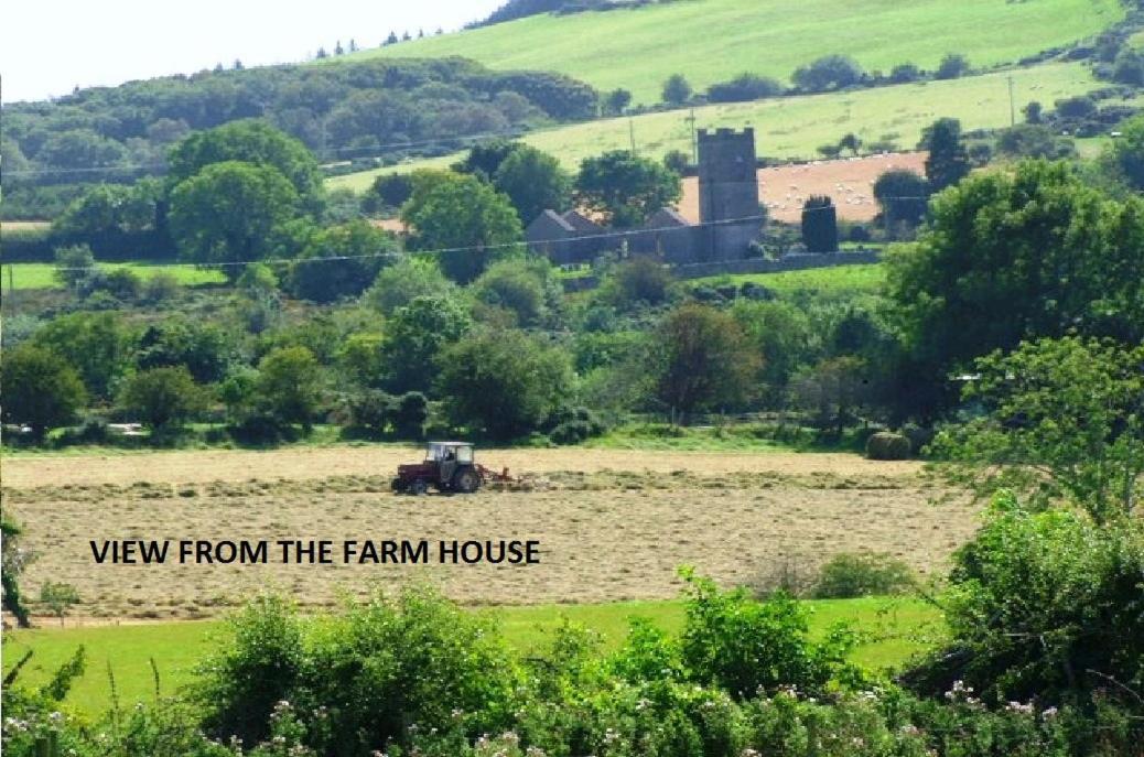 Wonderful Setting Farmhouse Apartment Wicklow Exteriör bild